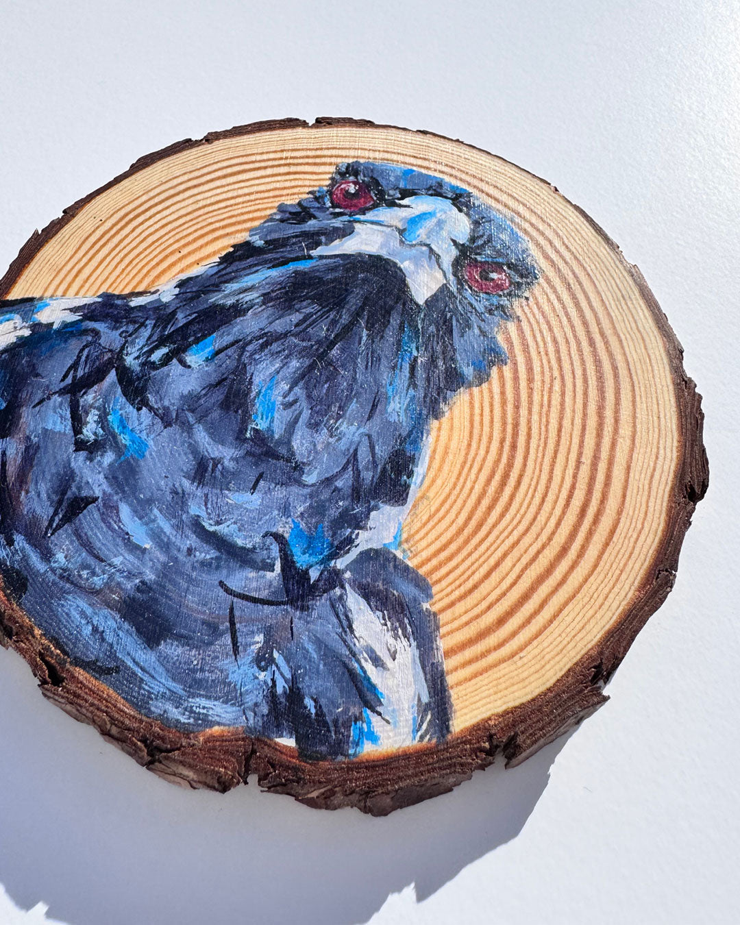 'BOSS' the Australian Magpie Wooden Disc