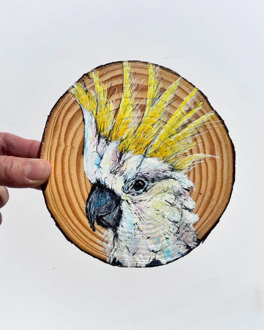 'CREST UP' the Sulphur-Crested Cockatoo - wooden disc