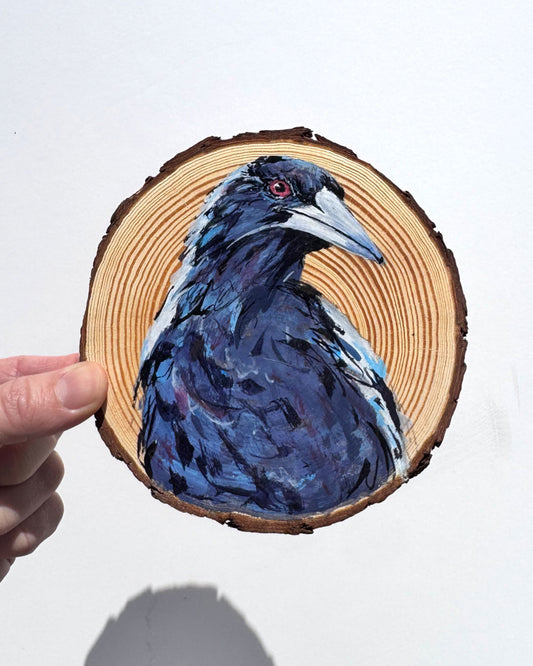 'QUIZZICAL' the Australian Magpie Wooden Disc