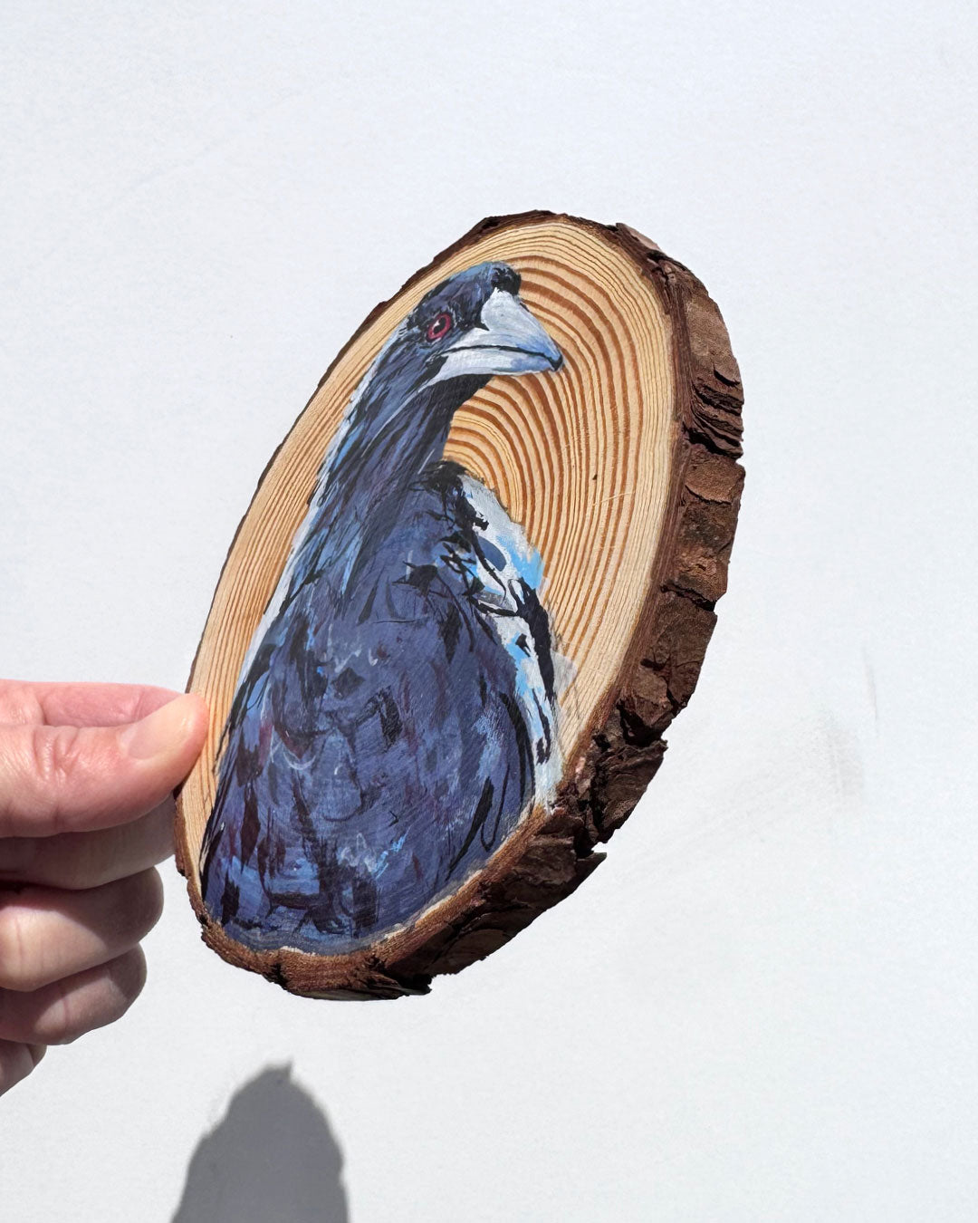 'QUIZZICAL' the Australian Magpie Wooden Disc