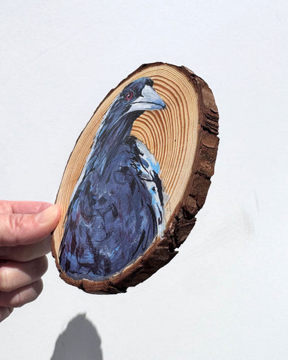 'QUIZZICAL' the Australian Magpie Wooden Disc