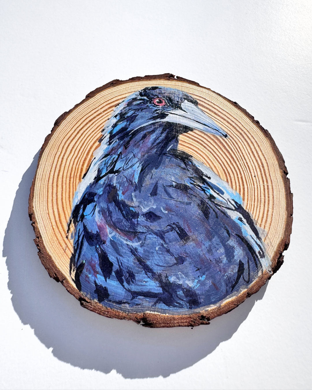 'QUIZZICAL' the Australian Magpie Wooden Disc