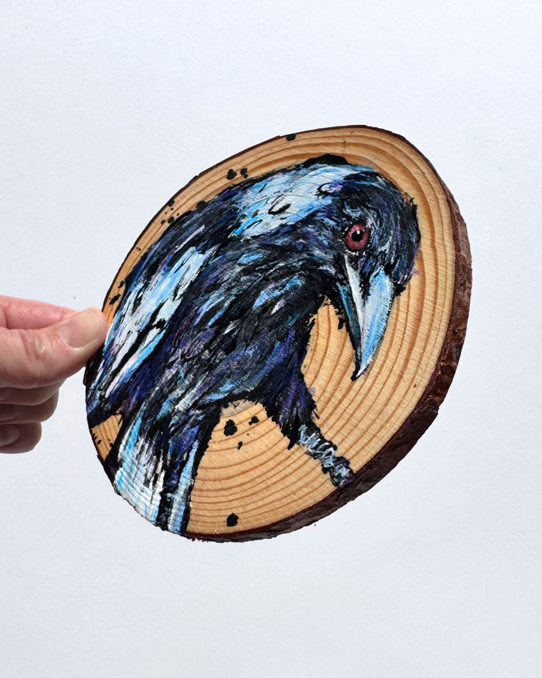 'SEEK' the Australian Magpie - Wooden Disc