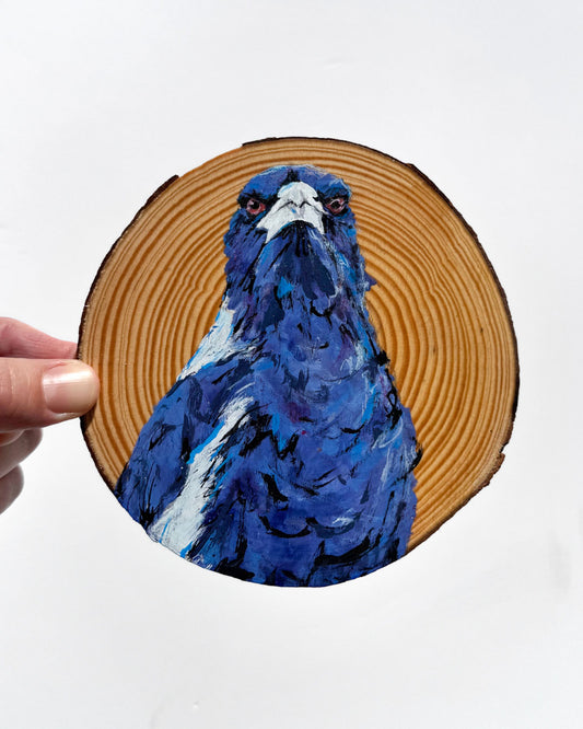 'STARE' the Australian Magpie Wooden Disc