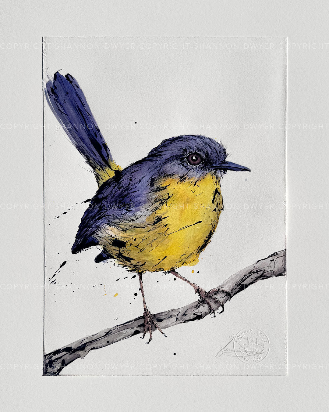 'EASTON' the Eastern Yellow Robin - original artwork