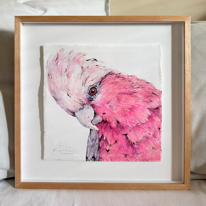 'SWEETS' the Galah - Framed* original artwork