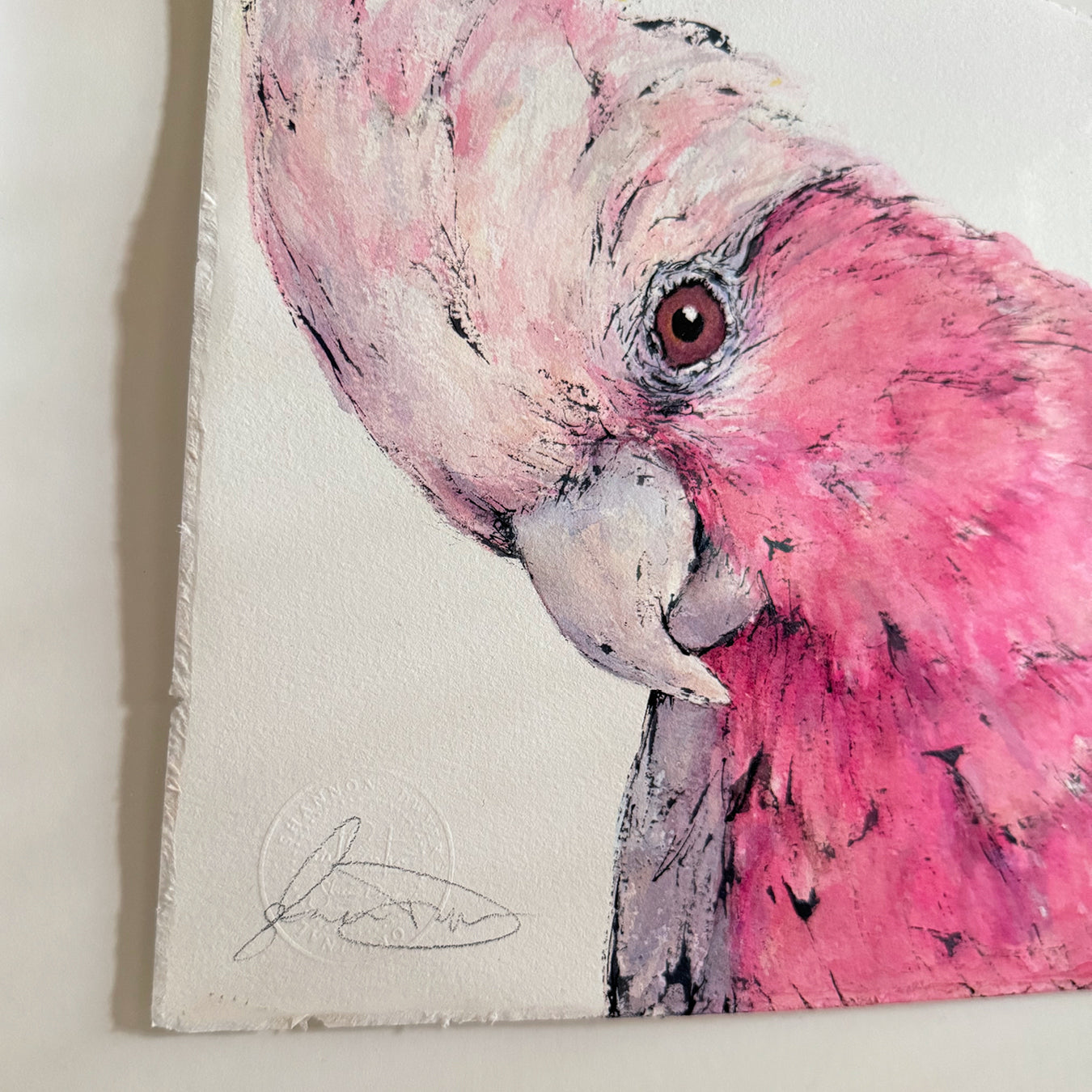 'SWEETS' the Galah - Framed* original artwork