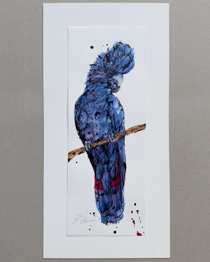 'TRUTH' the Red-Tailed Black Cockatoo - original artwork