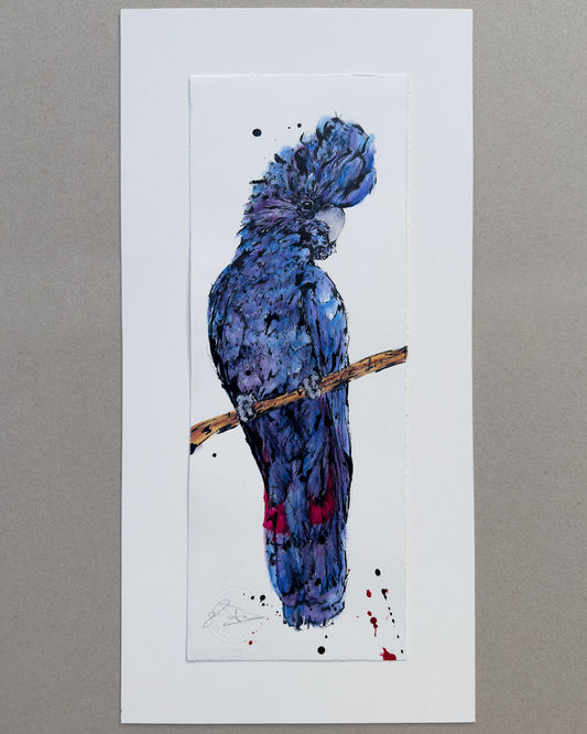 'TRUTH' the Red-Tailed Black Cockatoo - original artwork