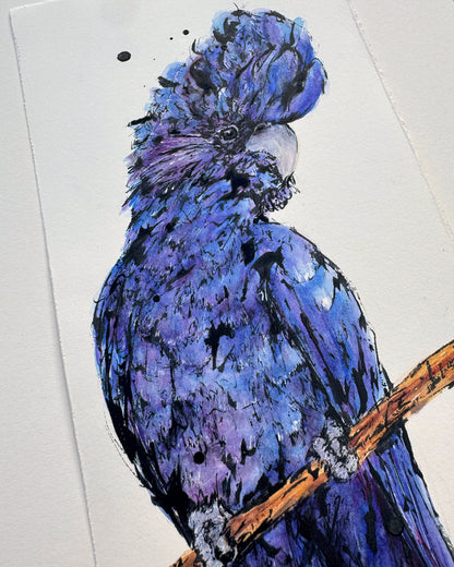 'TRUTH' the Red-Tailed Black Cockatoo - original artwork