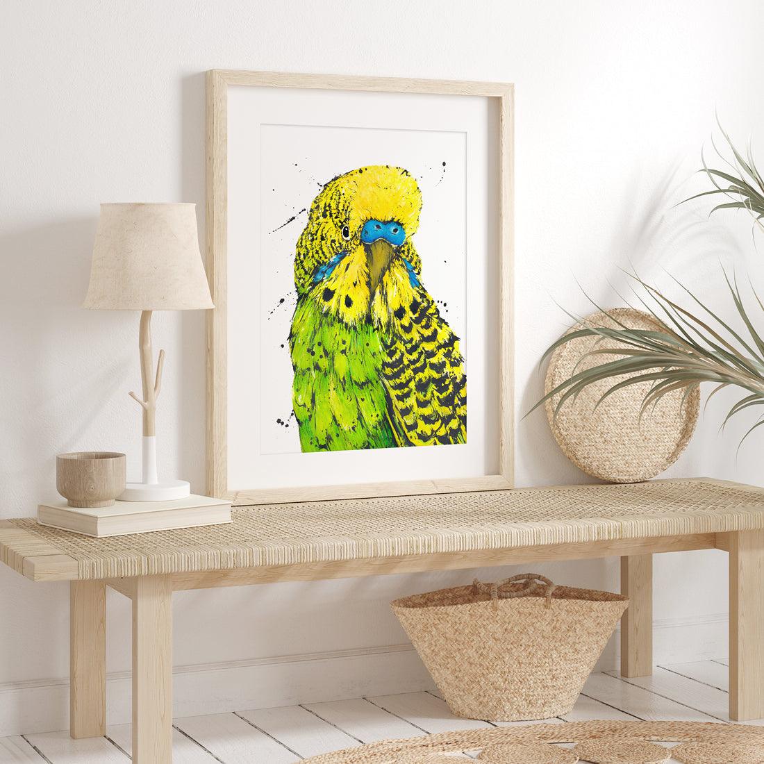     Budgie artwork in ink and watercolour by Shannon Dwyer