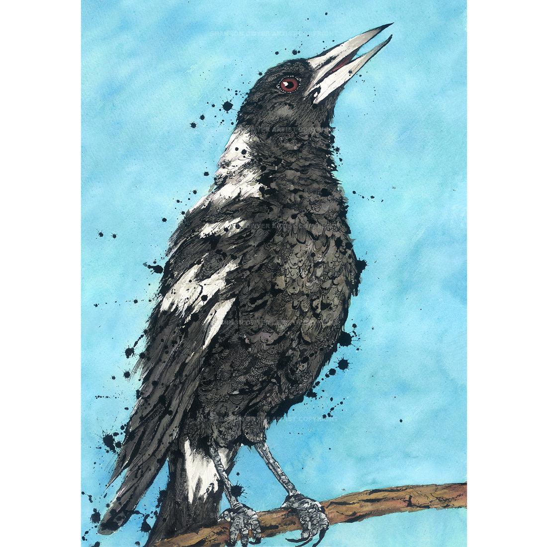 Shannon Dwyer fine art print featuring an artwork of ‘Carol’ the Australian Magpie bird with black and white feathers, perched on a branch, with a splash of blue in the background.