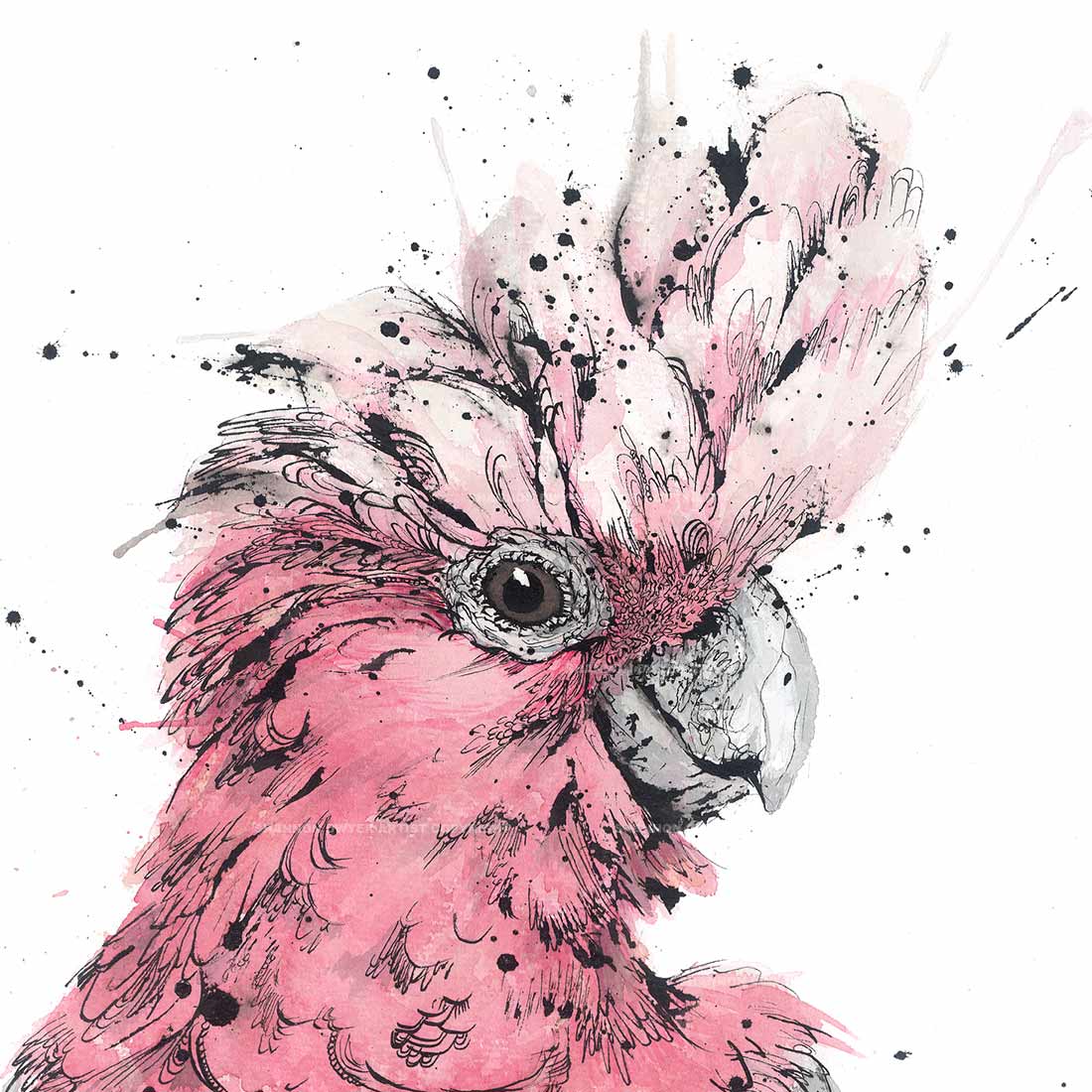 Flamin' Galah