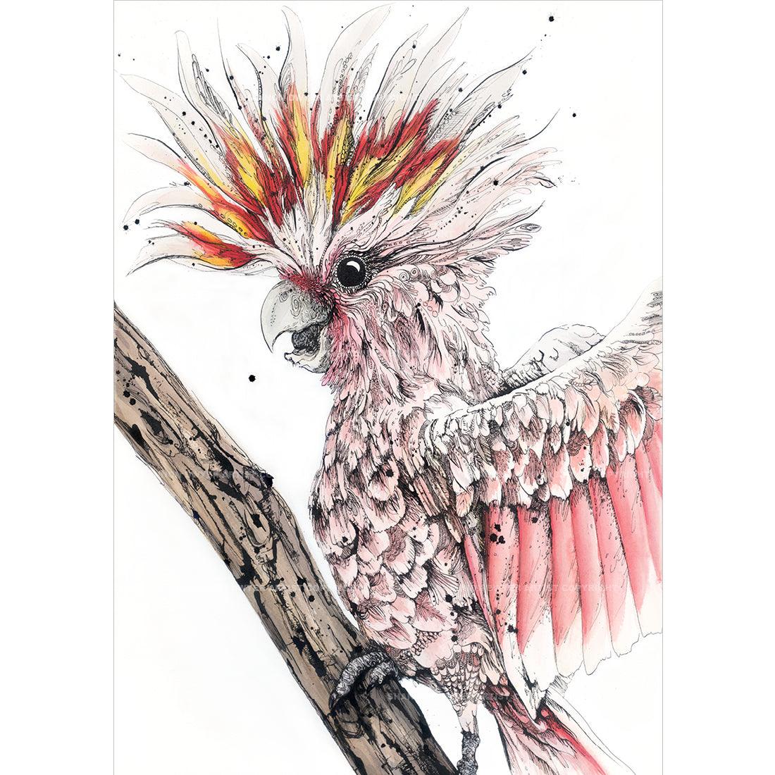 ‘Frankie’ Pink Cockatoo (formerly Major Mitchell’s Cockatoo) fine art print by Australian artist Shannon Dwyer featuring native Australian bird artwork colourful cockatoo on a branch against a white background