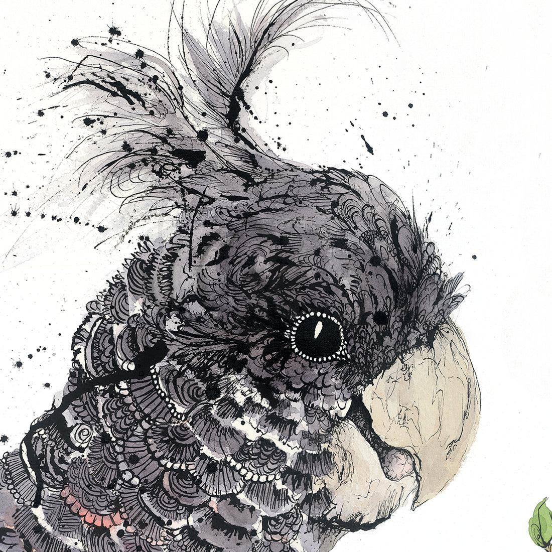 'Grey Goddess' Gang-Gang Cockatoo