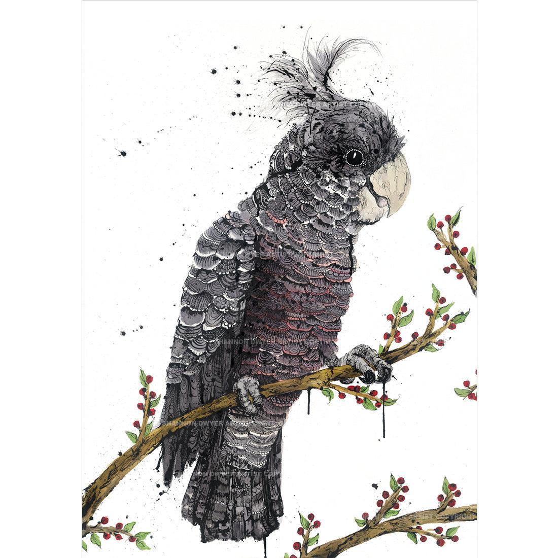 Female Gang-gang Cockatoo artwork in ink and watercolour by Shannon Dwyer