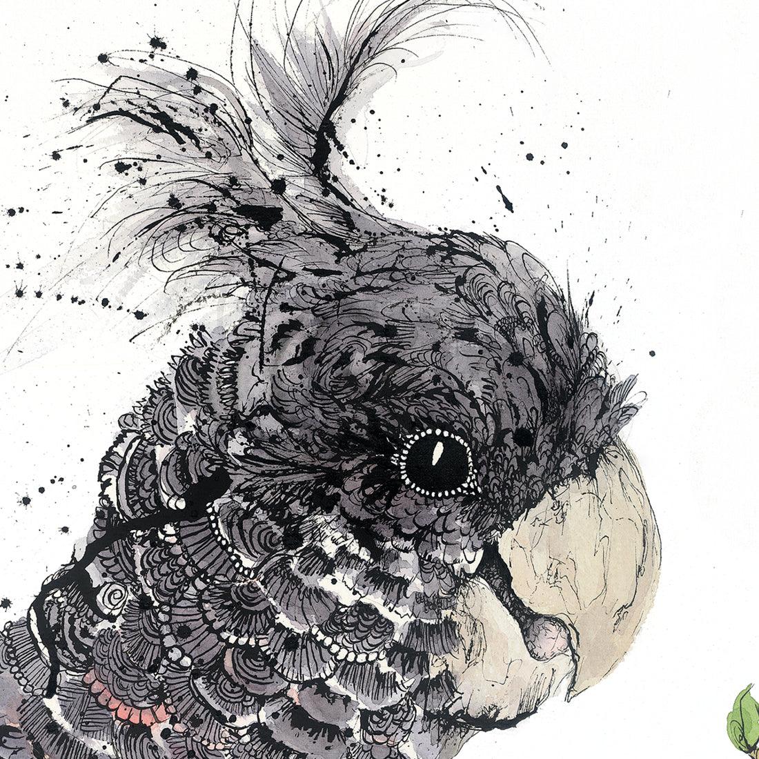 Close-up of Australian Gang-gang Cockatoo fine art print wall décor by Shannon Dwyer 