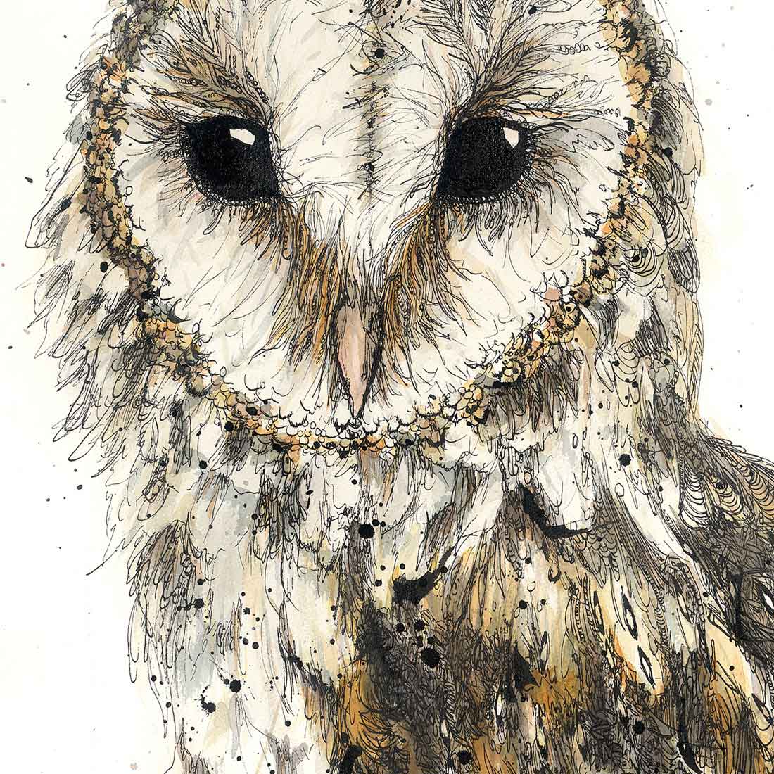 'Jarli' Barn Owl