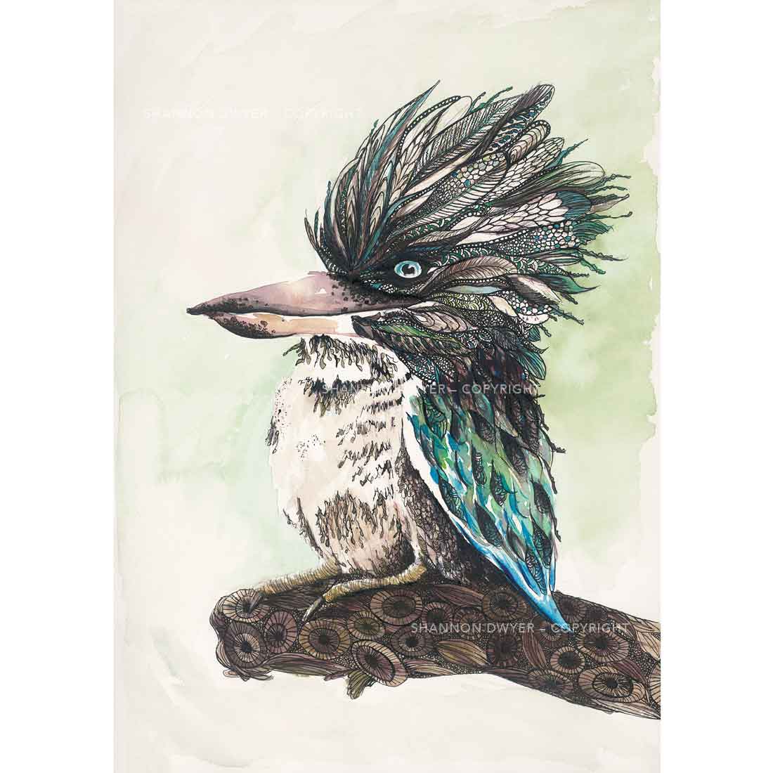 'Kooks' Kookaburra