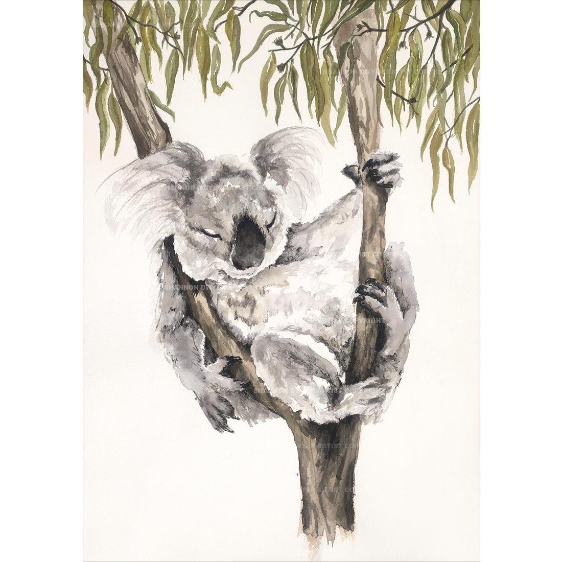 A fine art print featuring a painting of a koala with a eucalyptus tree. Painting by Australian artist Shannon Dwyer