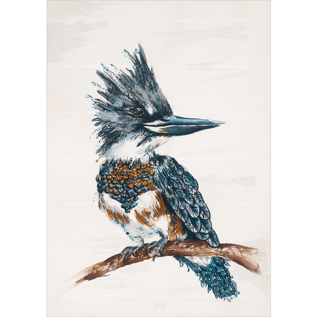 'The King', Kingfisher