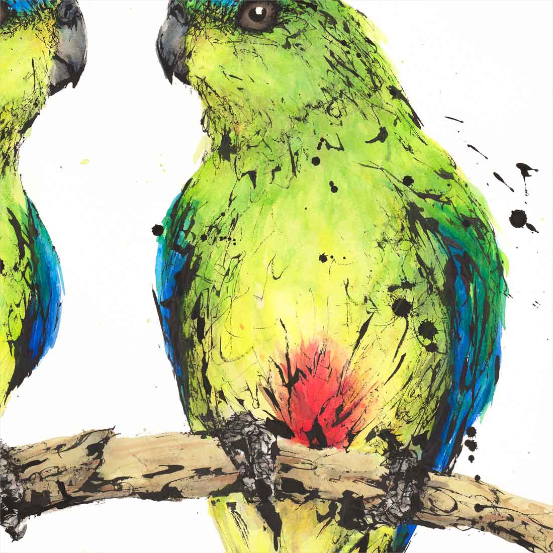 'Belly Buddies', Orange-bellied Parrots