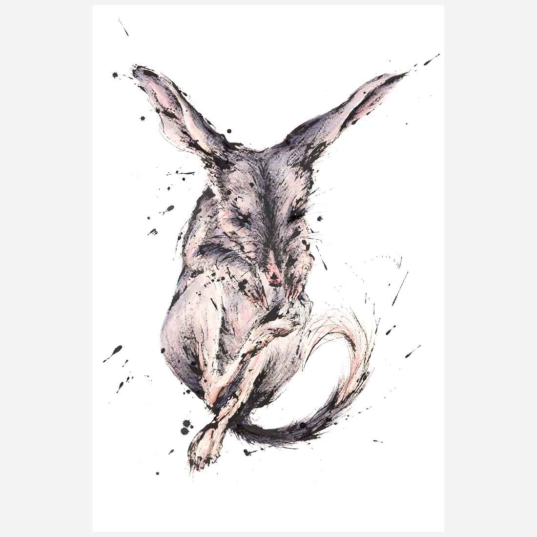 'Bliss', the Bilby