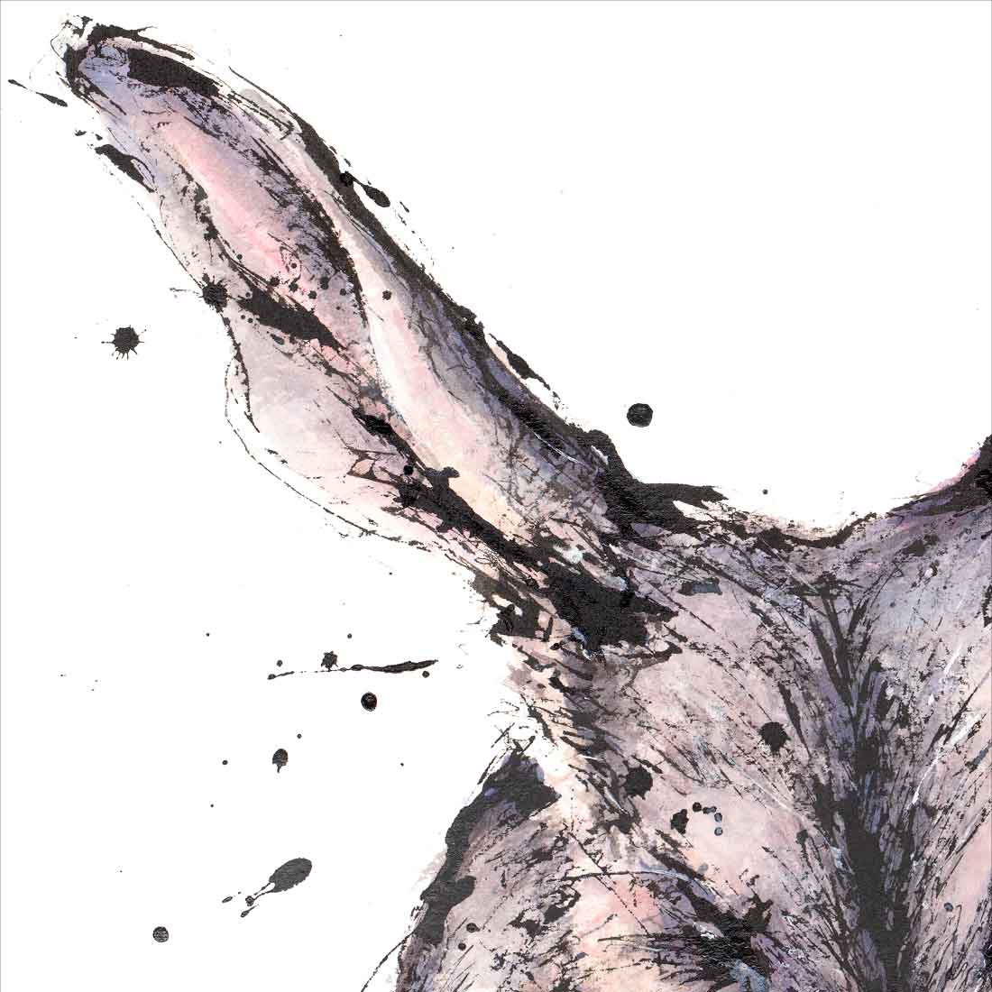 'Bliss', the Bilby