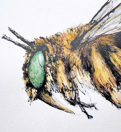 SOLD - 'Bandit', the Blue-banded Bee