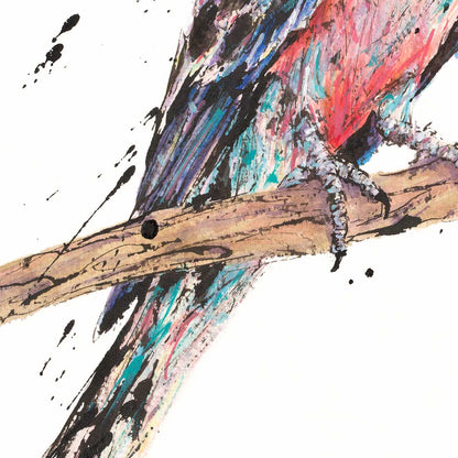 'Tranquill', the Bourke's Parrot