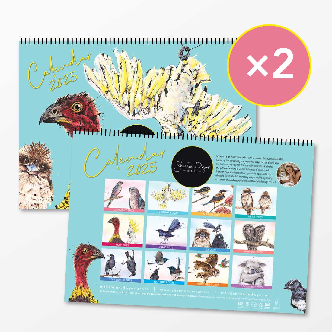 Chrissy Calendar Cracker Pack!