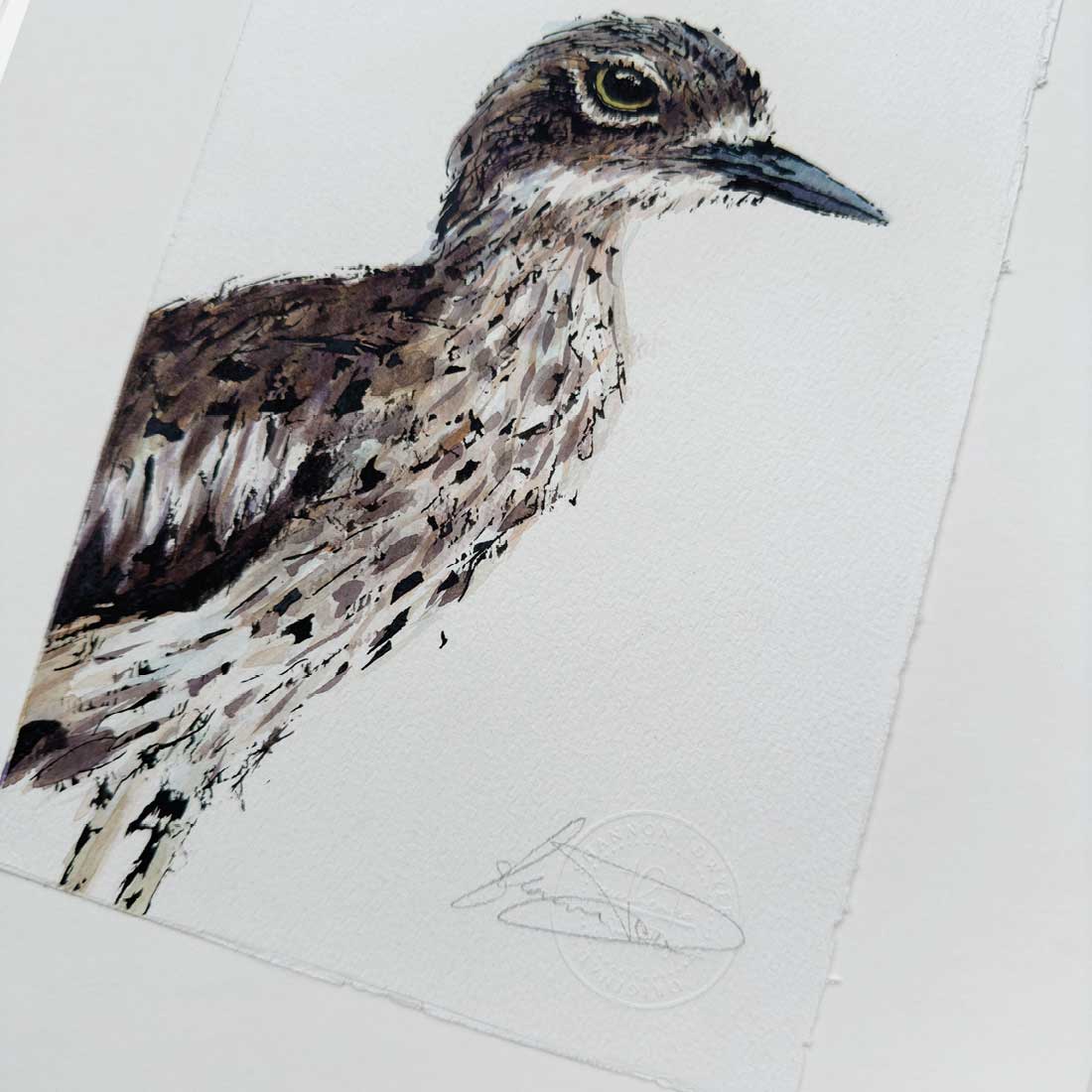 'BONNIE', the Bush-Stone Curlew