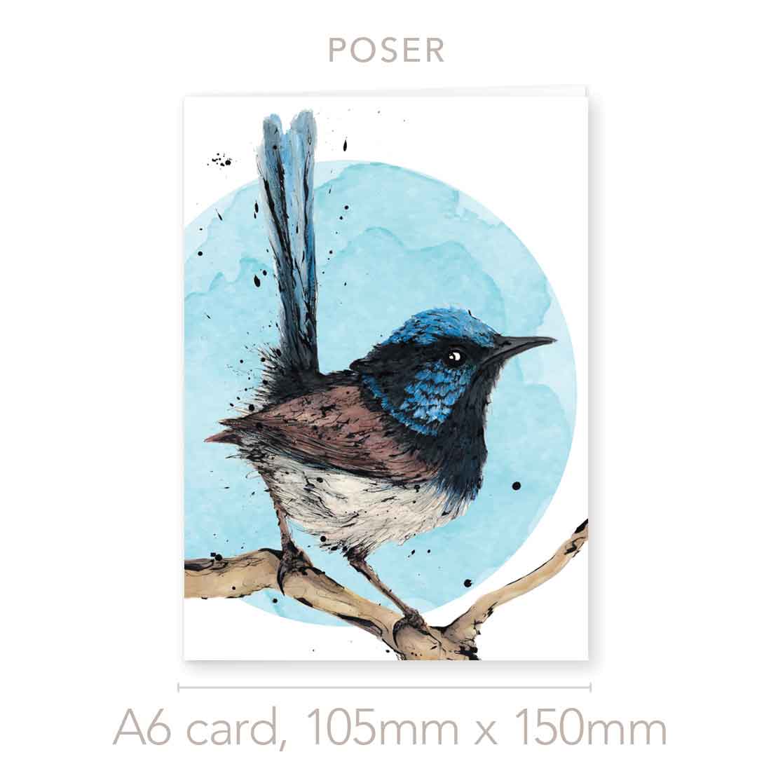 'Poser', the Superb Fairy-wren