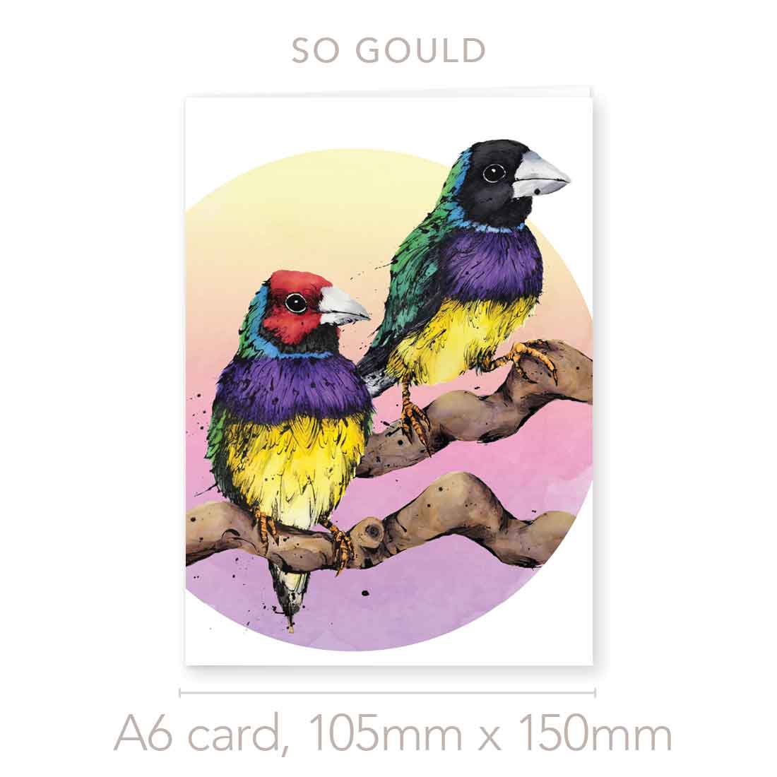 'So Gould', the Gouldian Finches