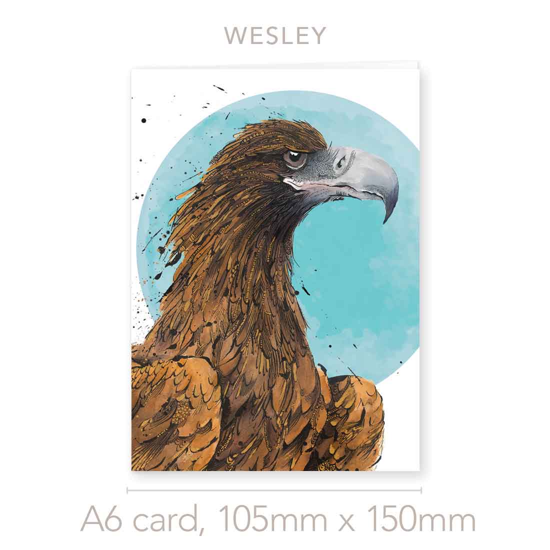 'Wesley', the Wedge-tailed Eagle