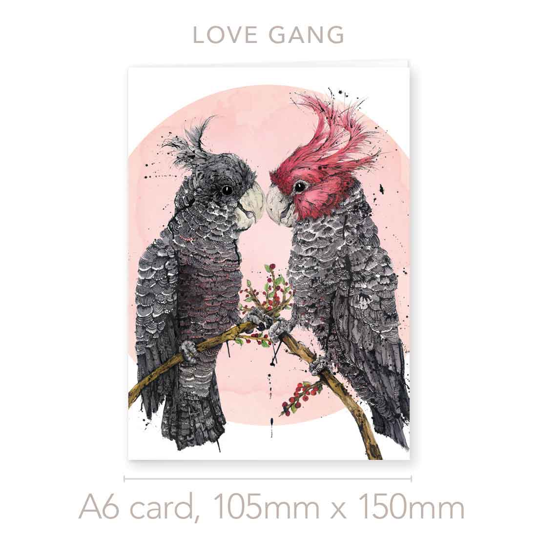 'Love Gang', the Gang-gang Cockatoos