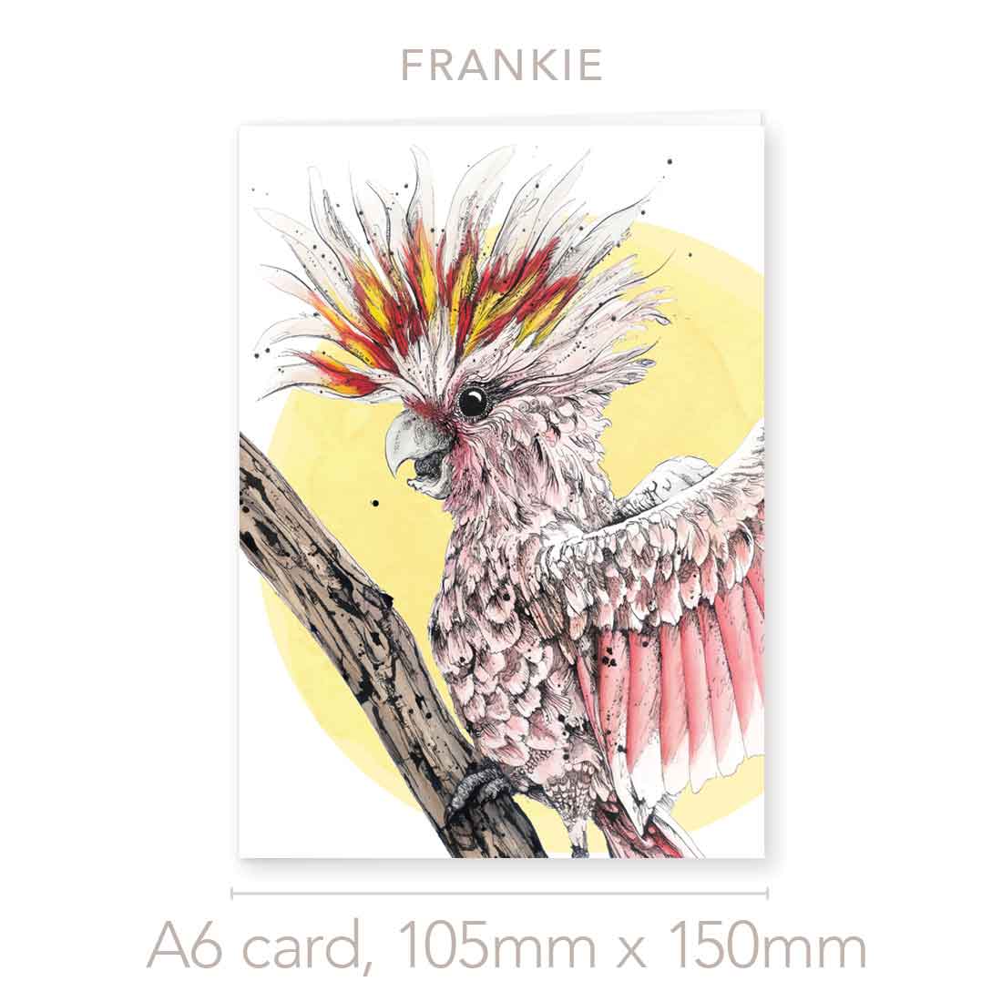 'Frankie', the Pink Cockatoo