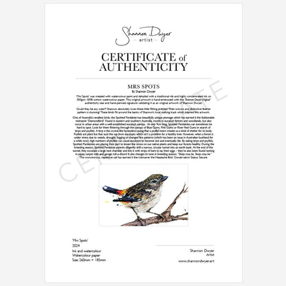 'MRS SPOTS', the Spotted Pardalote