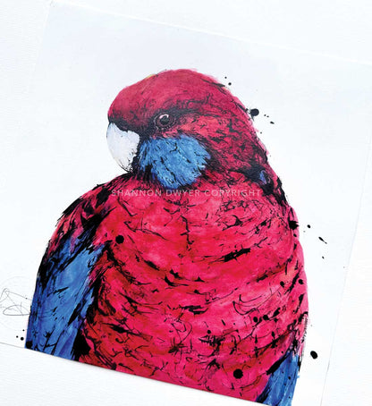 'RUBY' the Crimson Rosella - original artwork