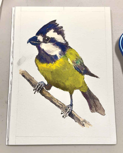 Wednesday Night Wildlife Drawing Course