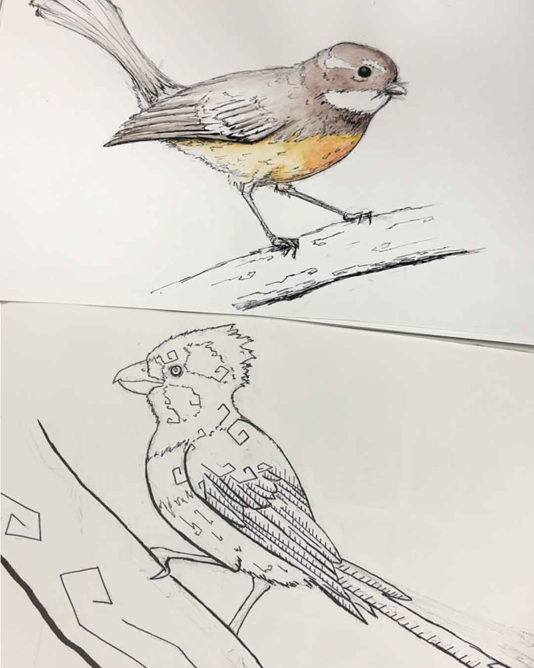 Wednesday Afternoon Wildlife Sydney Drawing Courses