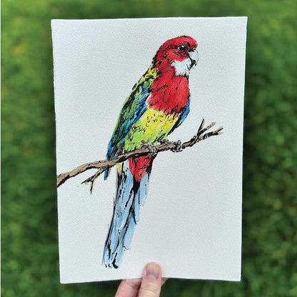 'ROWAN', the Rosella - original artwork
