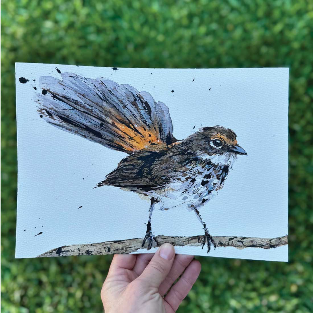 'RUTH', the Rufous Fantail