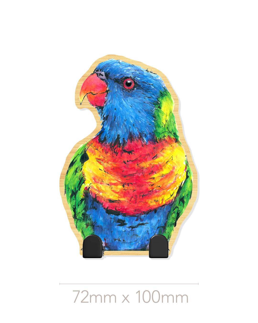 'Buddy' Rainbow Lorikeet | Wooden Wildlife Key Hook | Australian Bird Wall Art