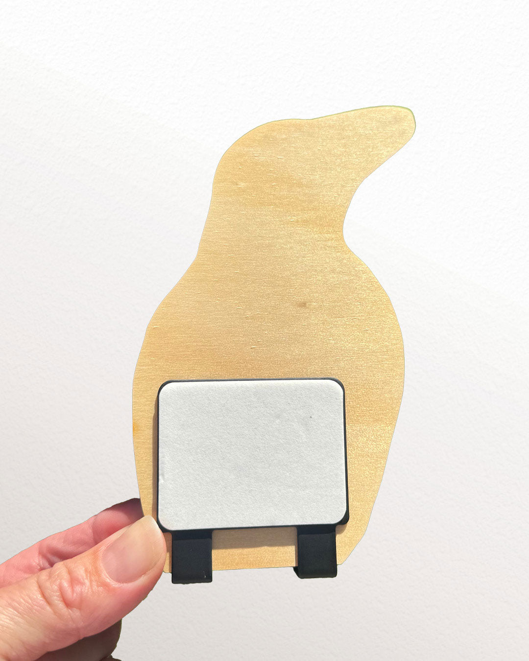 'Dawn Chorus' Australian Magpie | Wooden Wildlife Key Hook | Australian Bird Wall Art
