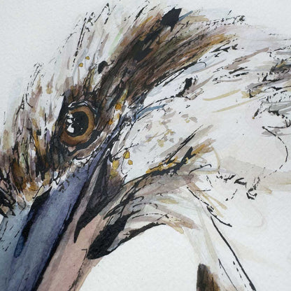 'IN THE ZONE', the Kookaburra