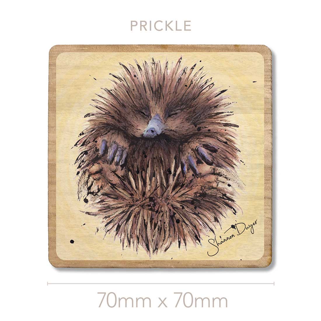 'Prickle' the Echidna