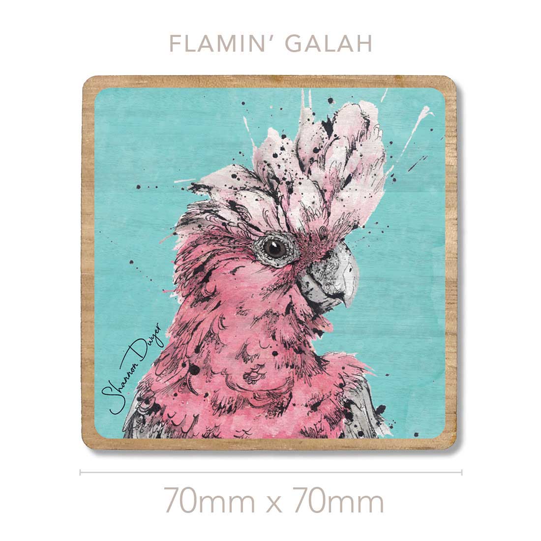 'Flamin' Galah' the Galah