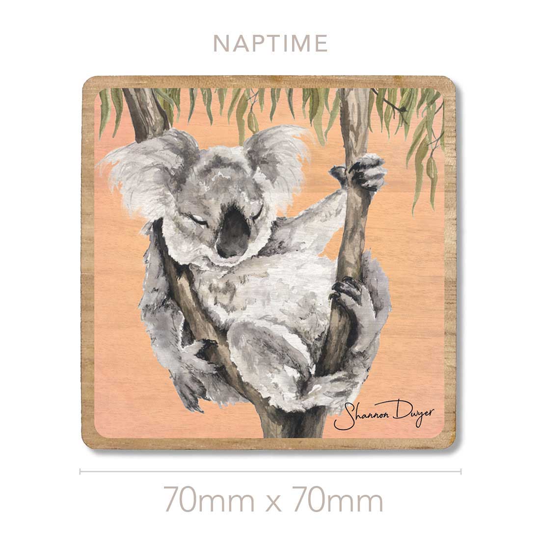 'Naptime' the Koala