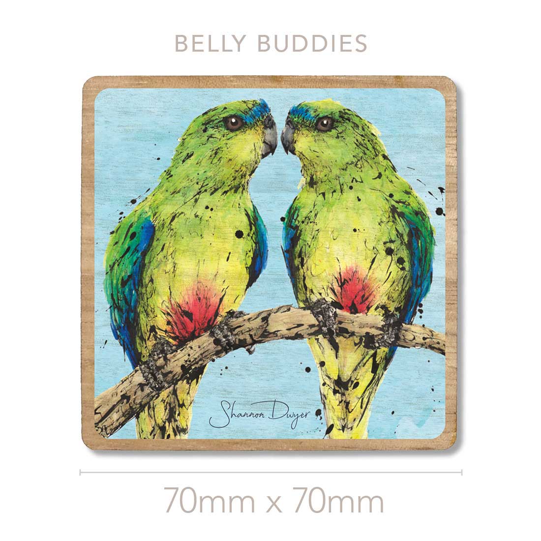 'Belly Buddies', the Orange-bellied Parrot